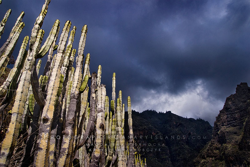 Krzysztof Jakubczyk Magdalena Pierwocha Photographer Canary Islands com - Canary Islands Fuerteventura Lanzarote Tenerife Landscape (1)